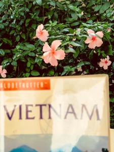 un signe devant une plante avec des fleurs roses dans l'établissement An Hiên Homestay Hội An, à Hội An