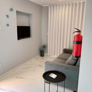 uma sala de estar com um sofá cinzento e um hidrante vermelho em Ancoradouro T2 - Alojamento Local Gerês em Braga