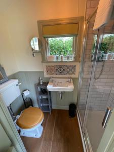 a bathroom with a toilet and a sink and a shower at Halfway Bridge in Midhurst