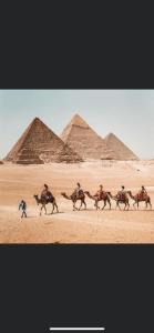 a group of people riding horses in front of pyramids at king ramses pyramids view apartment in Cairo