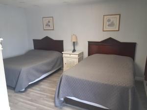 1 dormitorio con 2 camas y mesita de noche con lámpara en HICKORY SHADES MOTEL en Nashville