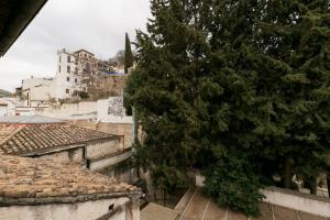 Un gran árbol se encuentra al lado de algunos edificios. en Navitour Santa Ana, en Granada