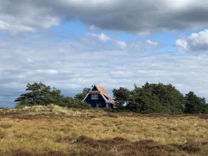 a house on top of a hill in a field at Hotel Heiderose Hiddensee in Neuendorf