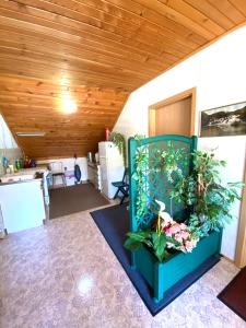 a room with a plant in a blue container at Casa Erceg Amor vincit Omnia in Skradin
