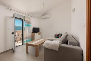 TV a/nebo společenská místnost v ubytování Djukanovic Apartments