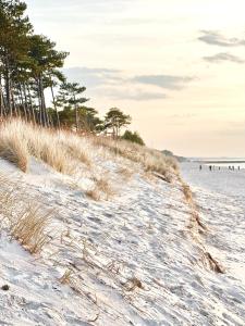 una spiaggia con dune di sabbia e alberi in lontananza di BALTIC FAMILY Premium a Mielno