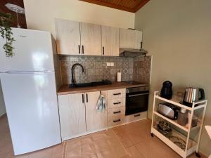 Kuchyň nebo kuchyňský kout v ubytování Niko Summer House
