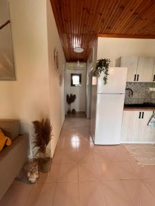 Kuchyň nebo kuchyňský kout v ubytování Niko Summer House
