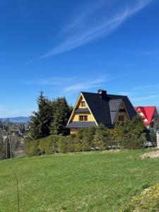 布科維納塔特贊斯卡的住宿－Willa Gocówka & SPA，绿色田野上黑色屋顶的房子
