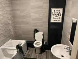 uma casa de banho com um WC e um lavatório em Modern 1 Bed Apartment in Mansfield Town Centre em Mansfield