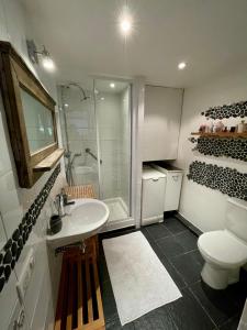 a bathroom with a sink and a shower and a toilet at Chalet in green, sunny and quite spot 5’ from center in Chamonix-Mont-Blanc