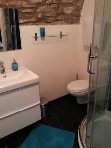 ein Bad mit einem Waschbecken, einem WC und einer Dusche in der Unterkunft Casa Limonaia San Rocco in Limone sul Garda