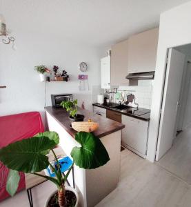 uma cozinha com um frigorífico e uma mesa com uma planta em Appartement bord de mer très lumineux 2/4 pers. - Vue inoubliable em Hendaye