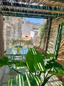 eine Terrasse mit einem Tisch und einer Pflanze in der Unterkunft VaGiu' Dimora Storica in Tricase