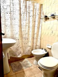 y baño con aseo, lavamanos y cortina de ducha. en BlackBird apartamentos en San Carlos de Bariloche