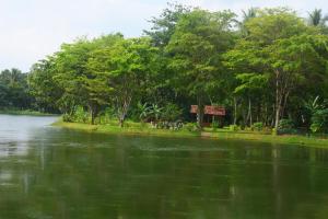 a large body of water with trees in the background at Canal Side Safari Resort in Udawalawe