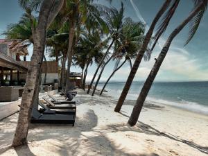 una fila de palmeras en una playa con el océano en Sunsea Resort en Mui Ne