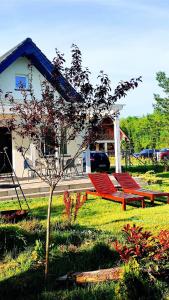 サシノにあるDomek Na Ustroniuの赤いベンチと木のある公園
