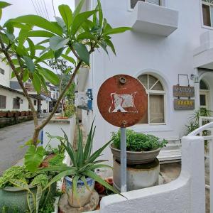 民宿所在大楼