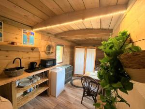 a kitchen and dining room of a tiny house at La Cabane de Mercone Crenu in Corte