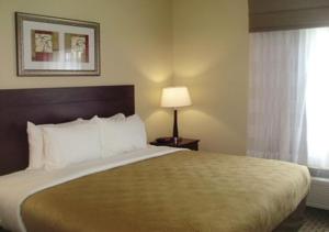 a hotel room with a bed and a lamp and a window at MainStay Suites Meridian in Meridian