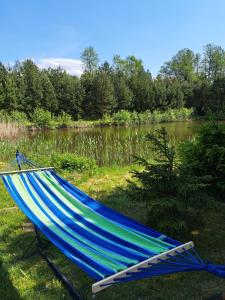 een hangmat op het gras naast een meer bij Lini Guest House in Nīca