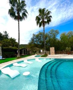 a swimming pool with white chairs and palm trees at Hotel Berke Ranch&Nature in Kemer