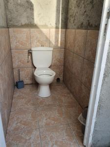 a bathroom with a toilet in a tiled floor at La Cabane de Mercone Crenu in Corte