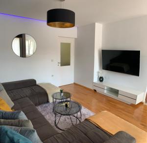 TV a/nebo společenská místnost v ubytování Apartman Dragan