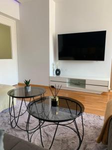 TV a/nebo společenská místnost v ubytování Apartman Dragan