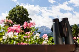 a view of a garden with pink flowers and a mountain at Fiakerhof in Garmisch-Partenkirchen
