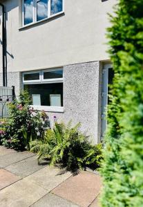 a building with a window and plants in front of it at Barnstaple Drive House in Manchester