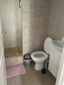 a small bathroom with a toilet and a sink at Vila B&P in Costinesti +6 photos