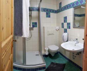 uma casa de banho com um chuveiro, um WC e um lavatório. em Pension ZUM LINDENWALD Colbitz em Colbitz