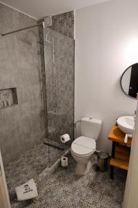 a bathroom with a shower and a toilet and a sink at Vila Medusa in Vama Veche
