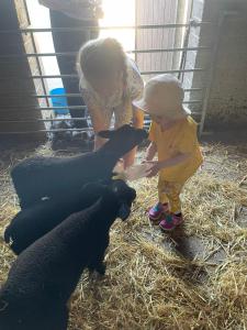 Děti v ubytování FAIRVIEW FARM Holiday Accommodation 14 Luxury Lodges, Cabins, Dog Friendly, Suitable for Couples, Families and Groups, Wedding Guests , Corporate events, Sleeps 2-65 guests in Ravenshead, Nottingham near Sherwood Forest, set in 88 acres