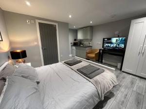 a bedroom with a large bed and a flat screen tv at Luxury Detached Studio Apartment in Luton in Luton