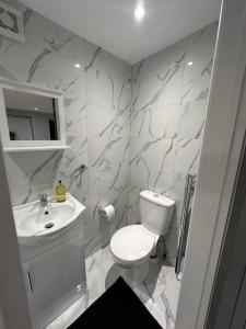a bathroom with a white toilet and a sink at Luxury Detached Studio Apartment in Luton in Luton