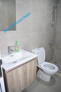 a bathroom with a sink and a toilet and a shower at Blue Diamond in Jerash