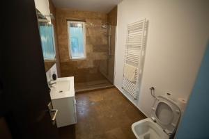 a bathroom with a toilet and a sink and a shower at Doispe Nuci in Bistra Mureşului +21 photos