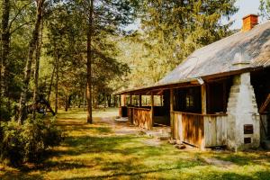 un antiguo edificio en medio de un bosque en Domek w lesie, nocleg na Lubelszczyźnie, en Sosnówka