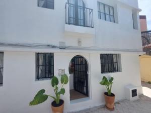 a white building with a door and two plants at Dar Zwina, Charming and lovely house in Tangier