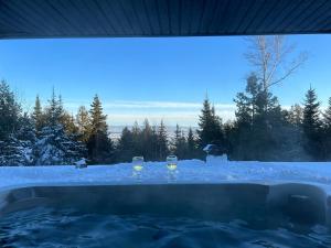 two glasses of wine in a tub in the snow at Cabine A in Petite-Rivière-Saint-François