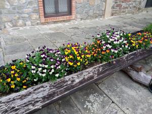 Vonkajšia záhrada v ubytovaní Agriturismo Ristoro del Cavaliere