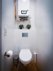 bagno bianco con servizi igienici e 2 piante di Black&White Apartment 8 a Katowice