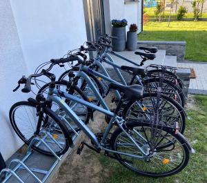 Jazda na bicykli v okolí ubytovania Wytworna Foczka