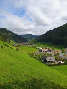 un campo verde con un pueblo a lo lejos en Brunnalm Ski - Ferien Apartment - Veitsch - max 6 Person en Niederaigen
