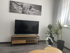 TV a/nebo společenská místnost v ubytování SWID Appartement