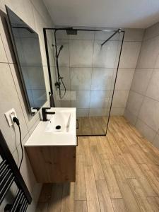 a bathroom with a sink and a shower at Welness chata pod Sitnom in Banská Štiavnica