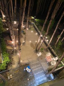 - une vue sur la piscine bordée de chaises et d'arbres dans l'établissement Helios Qerret House, à (( Stan i Ri ))
